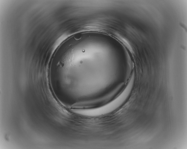 X0000095961291200801111354
