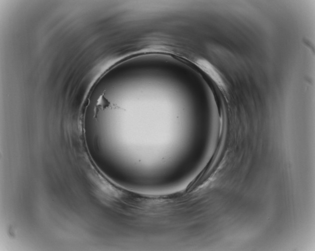 X0000095961292200801111354