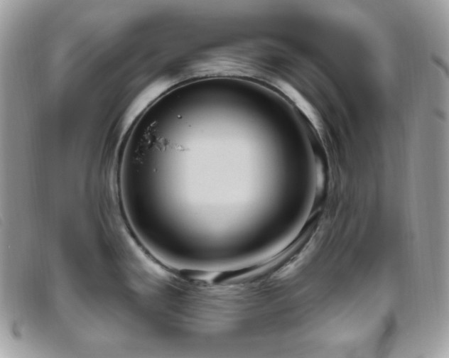 X0000095961293200801111354