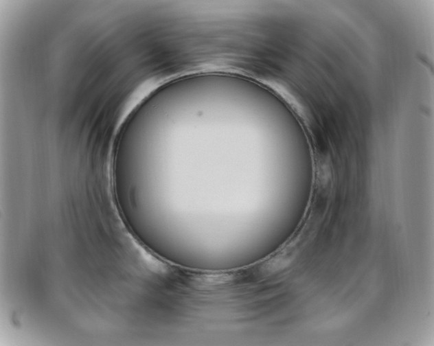 X0000095961294200801111354