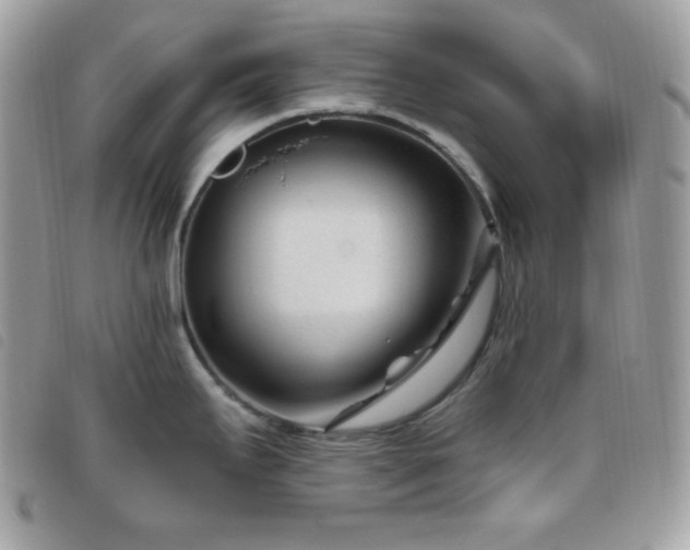 X0000095961295200801111354