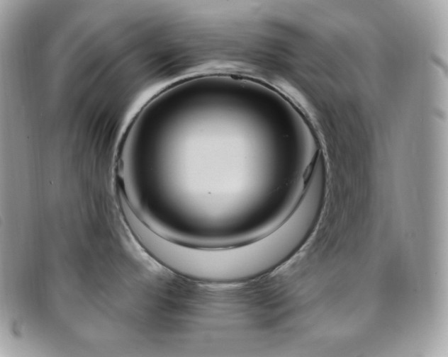 X0000095961296200801111354