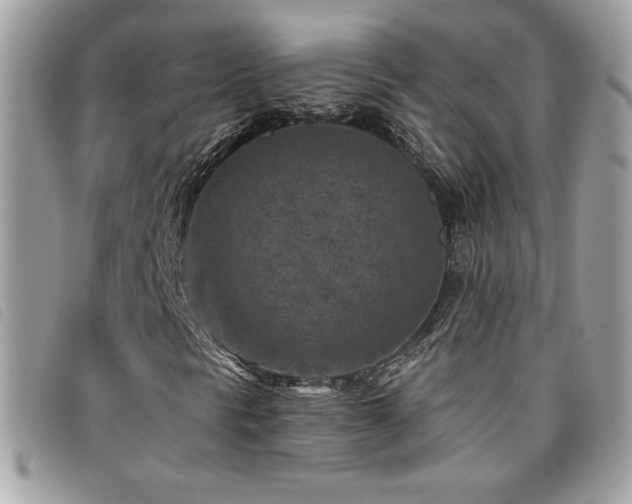 X0000095961297200801111353