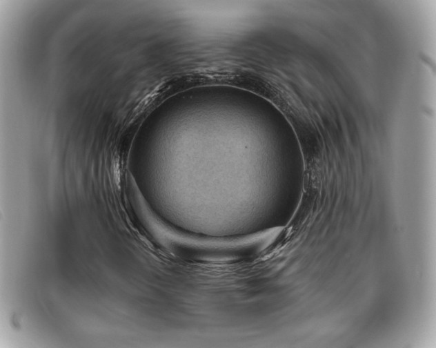 X0000095961298200801111353