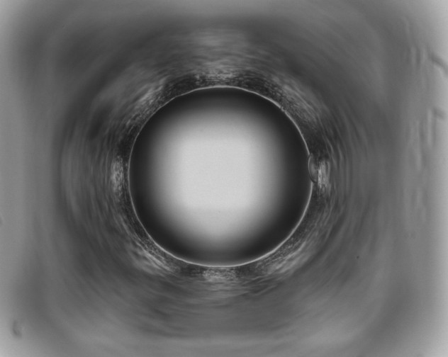 X0000095961299200801111353