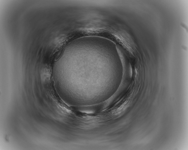 X0000095961300200801111353
