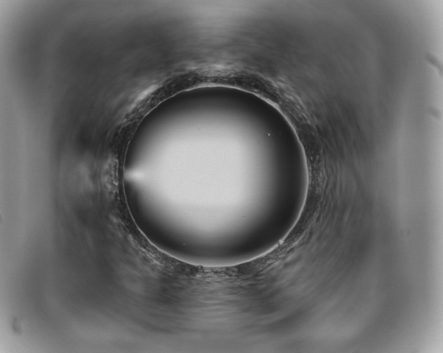 X0000095961301200801111353