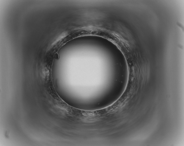 X0000095961302200801111353