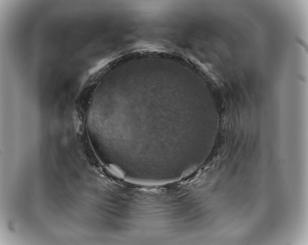 X0000095961303200801111353