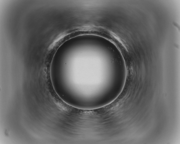 X0000095961304200801111353