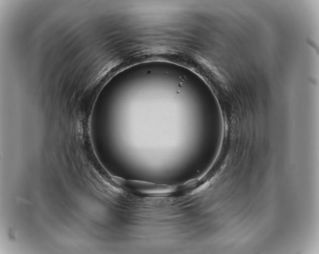 X0000095961305200801111353