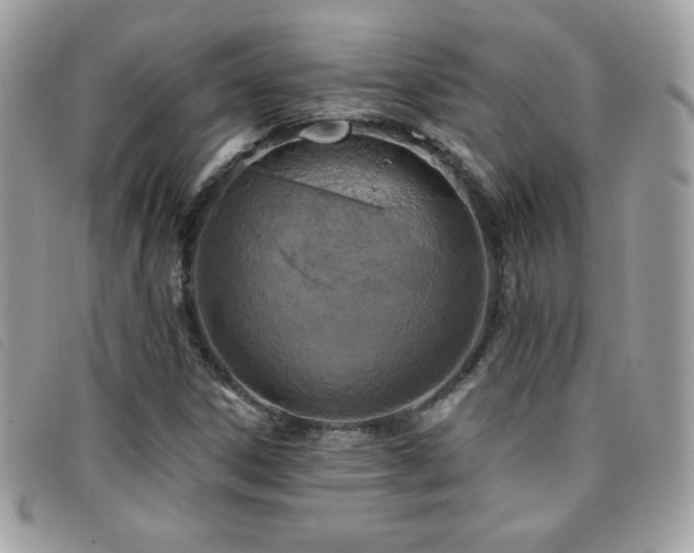 X0000095961306200801111353