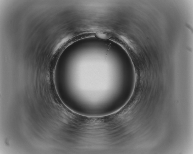 X0000095961307200801111353