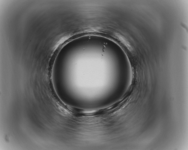 X0000095961308200801111353