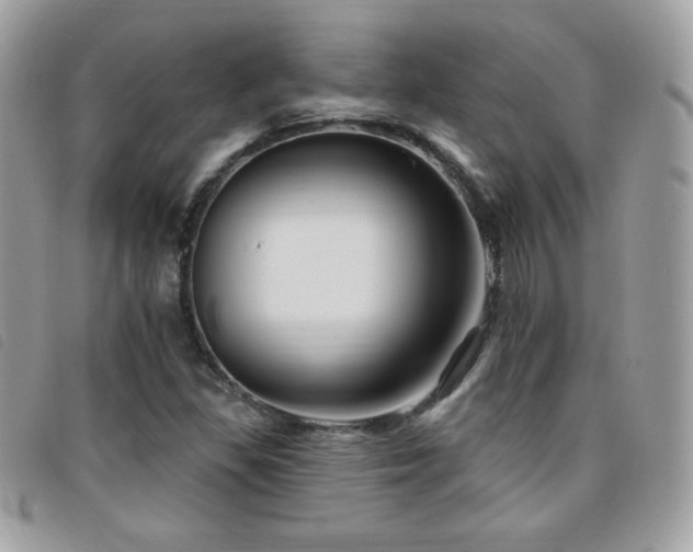 X0000095961309200801111353
