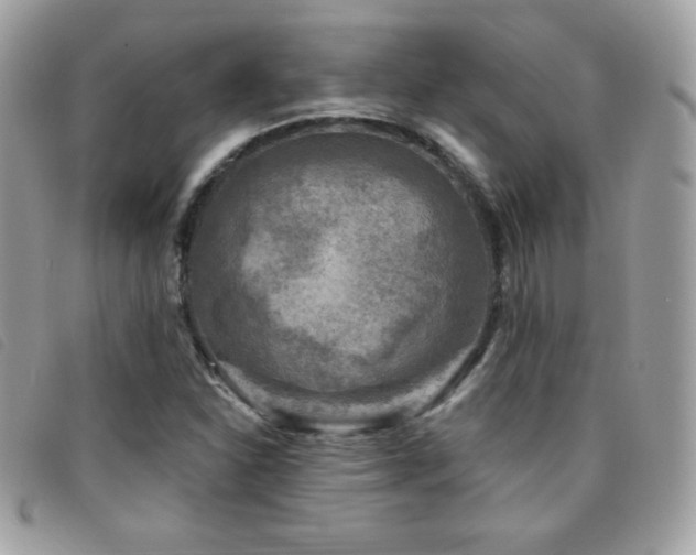 X0000095961310200801111353