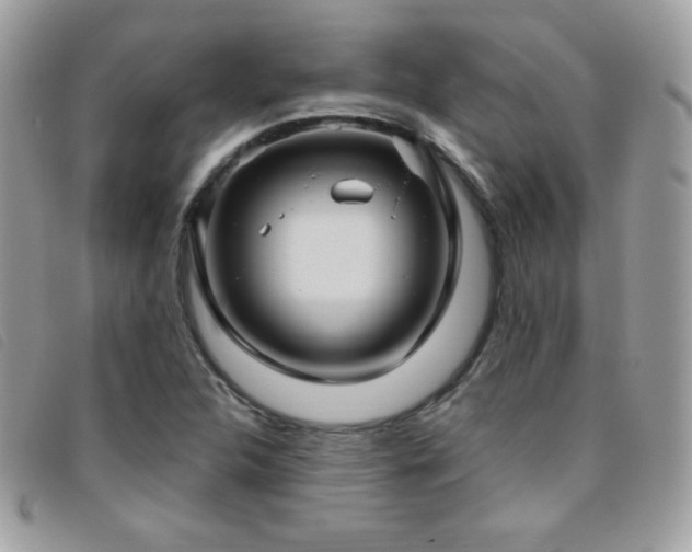 X0000095961312200801111353