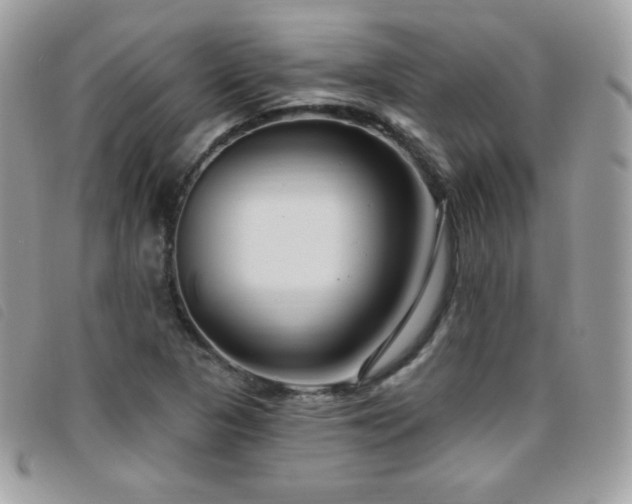 X0000095961313200801111353