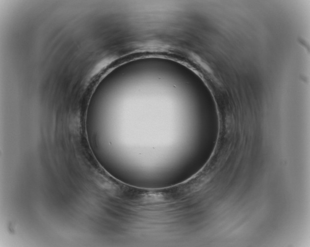 X0000095961315200801111353