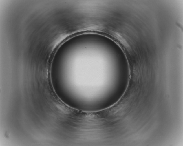 X0000095961316200801111353