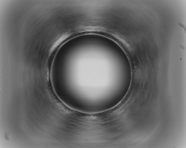 X0000095961317200801111353