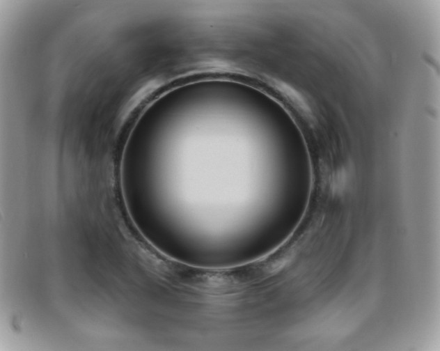 X0000095961318200801111353