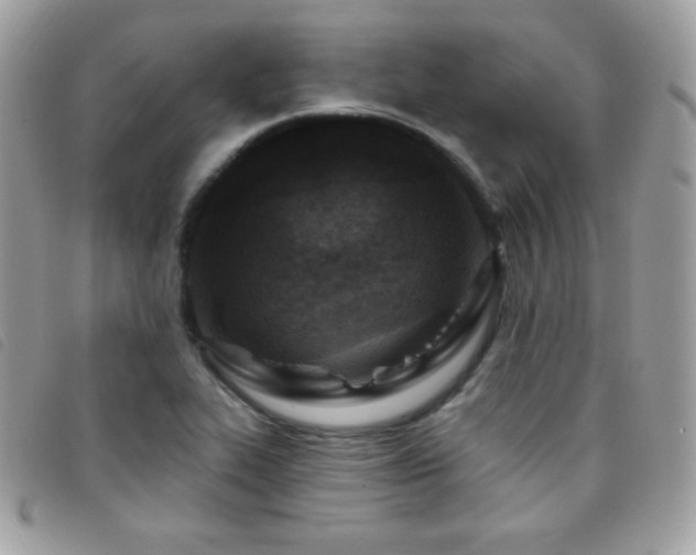 X0000095961319200801111353