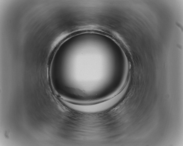 X0000095961320200801111353