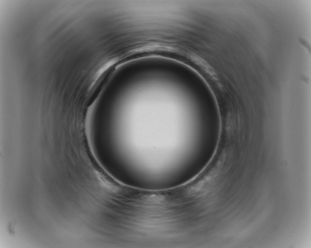 X0000095961321200801111353
