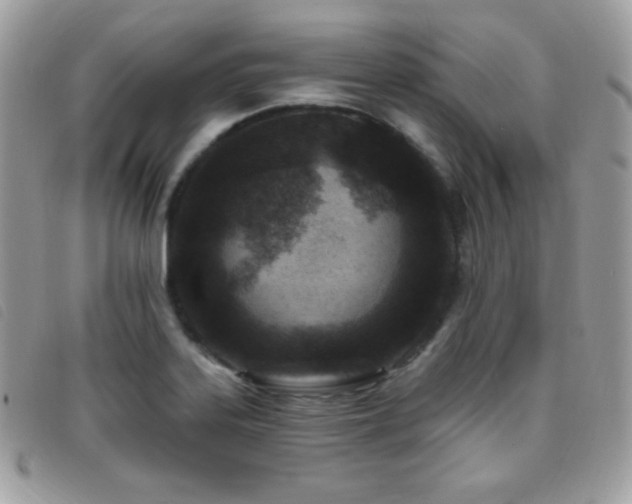 X0000095961323200801111354