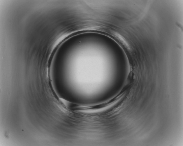 X0000095961324200801111354