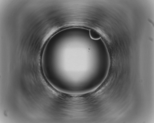 X0000095961325200801111354