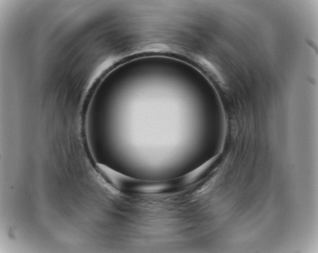 X0000095961326200801111354
