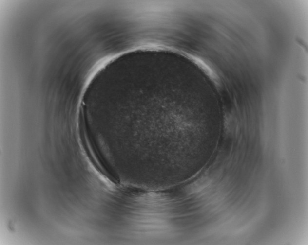 X0000095961327200801111354