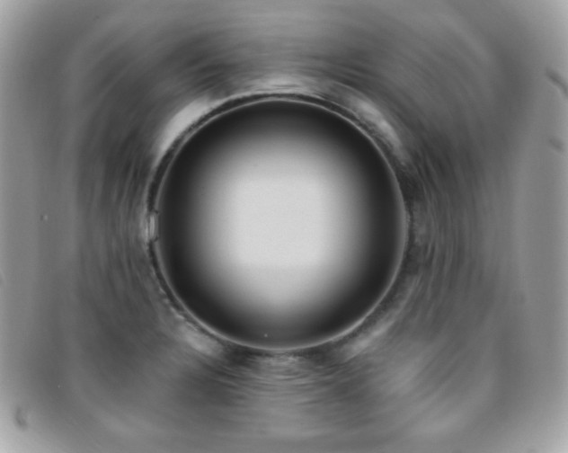 X0000095961328200801111354