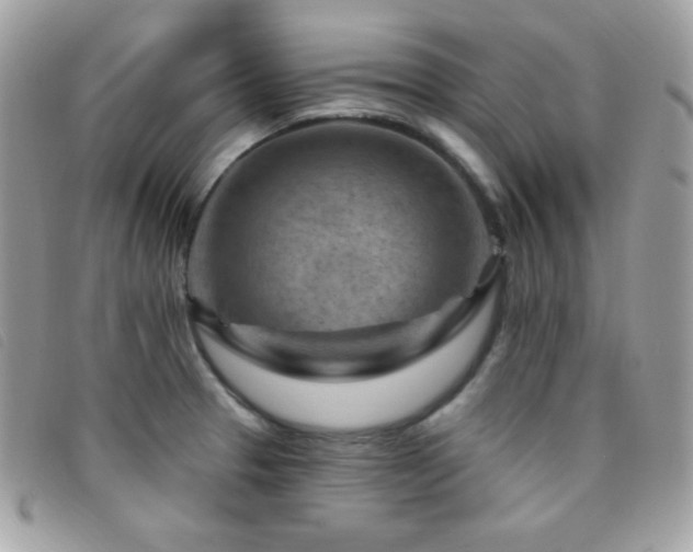 X0000095961329200801111354