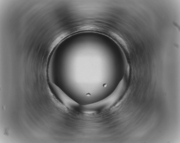 X0000095961330200801111354