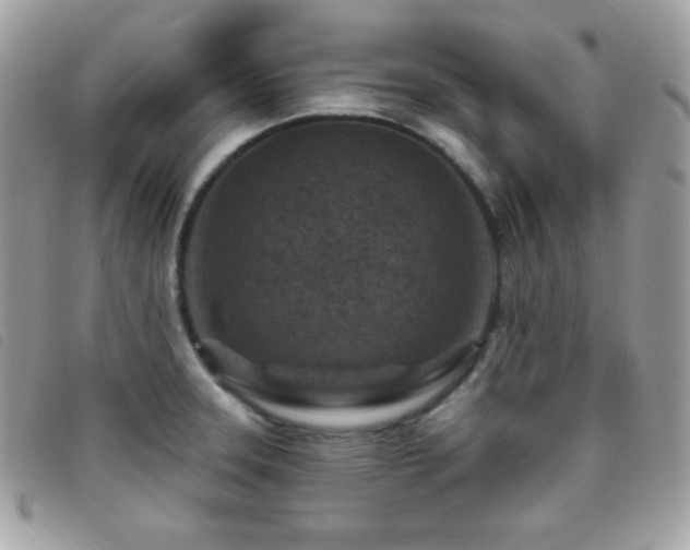X0000095961331200801111354