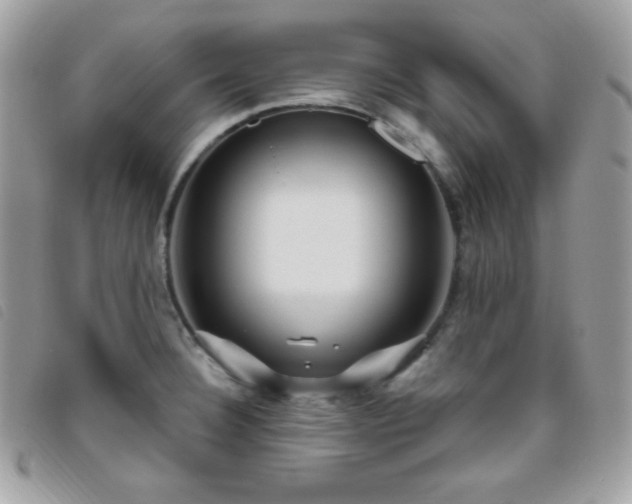 X0000095961332200801111354