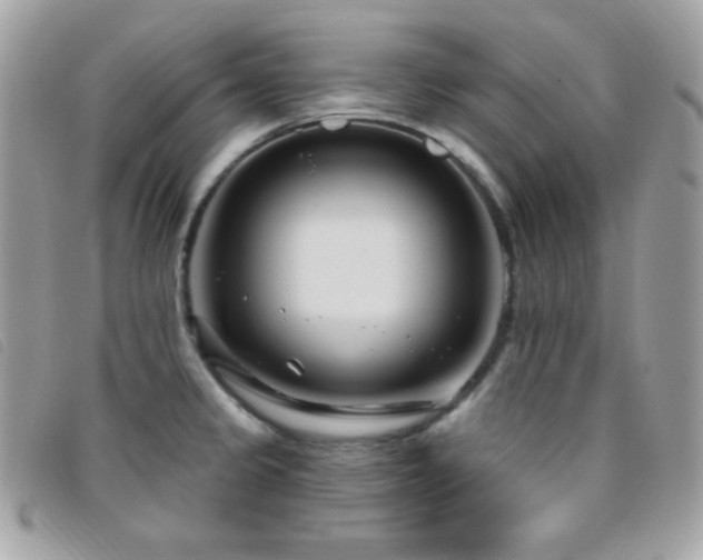 X0000095961333200801111354