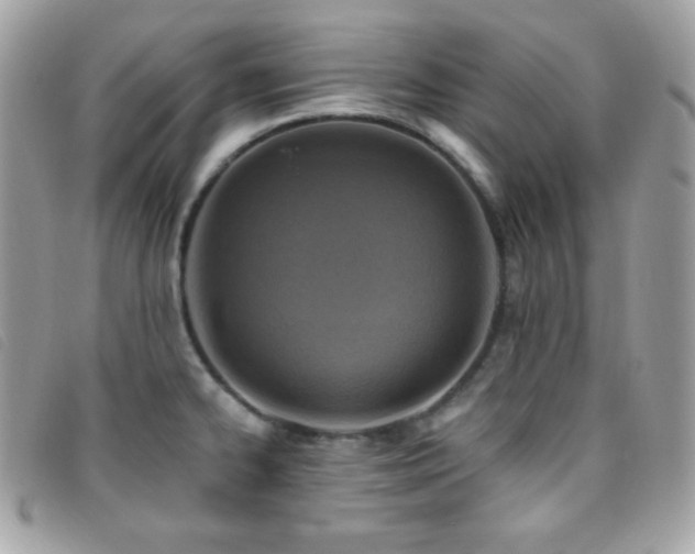 X0000095961334200801111354