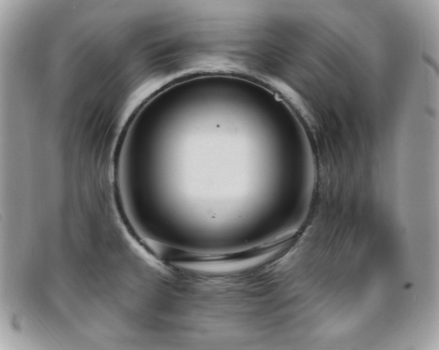 X0000095961335200801111354