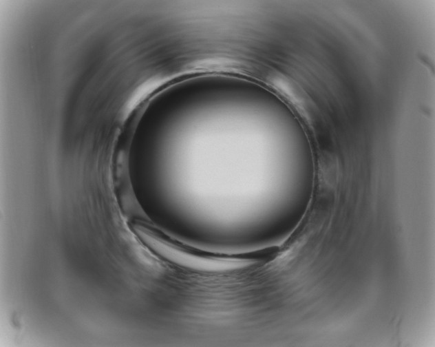 X0000095961336200801111354