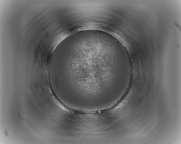 X0000095961337200801111354