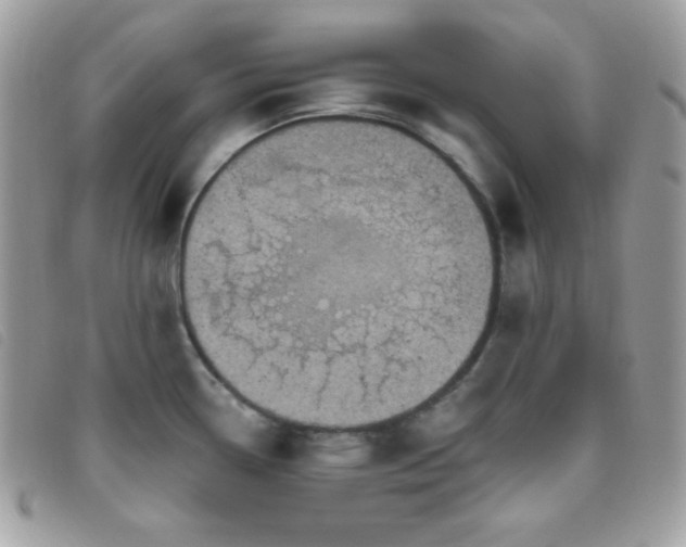 X0000095961338200801111354