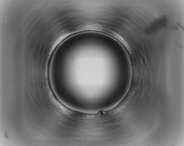 X0000095961339200801111354