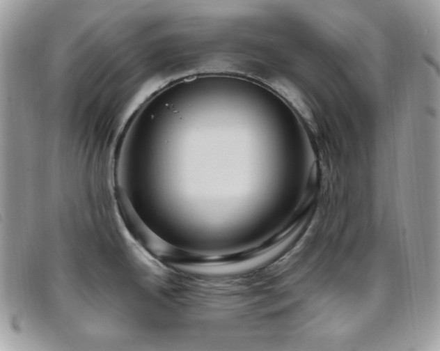 X0000095961342200801111354