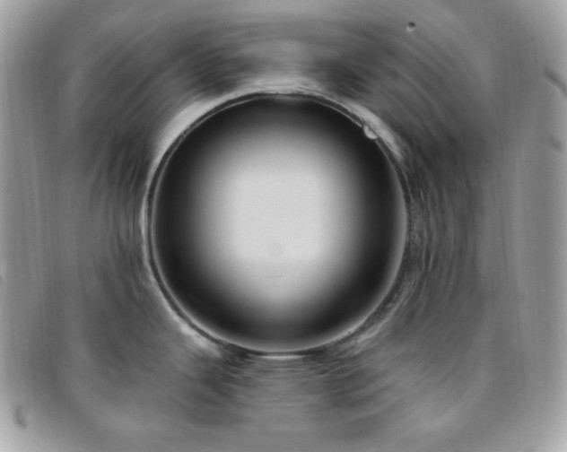 X0000095961343200801111354