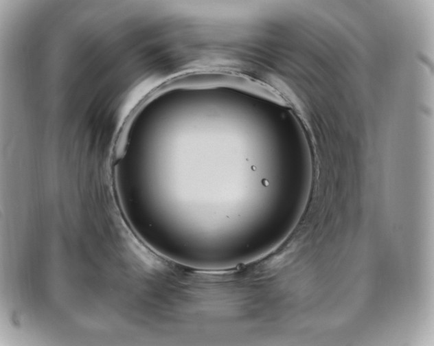 X0000095961344200801111354