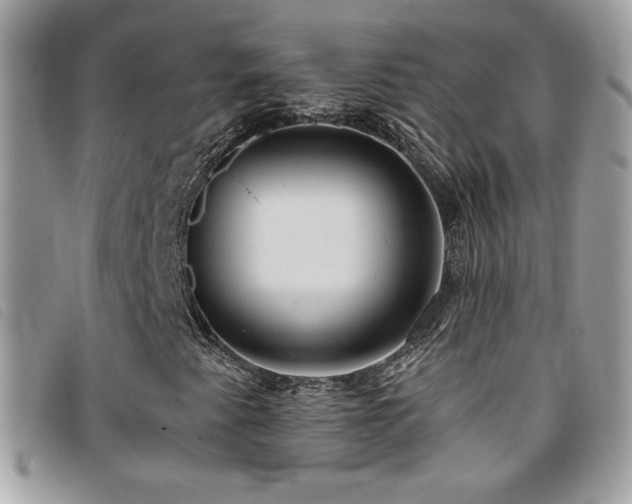 X0000095961345200801111353